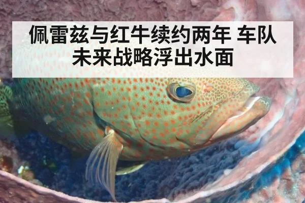 佩雷兹与红牛续约两年 车队未来战略浮出水面